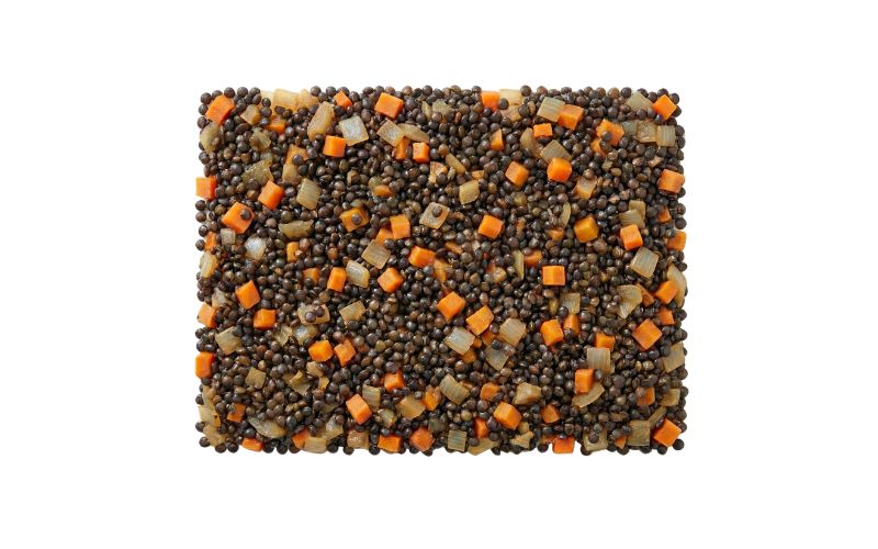 Lentilles au Kombucha